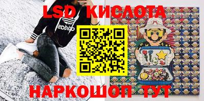 сатива Ставрополь