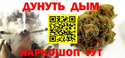 сатива Ставрополь