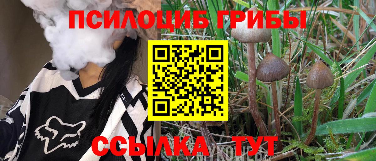Нефтеюганск  Галлюциногенные грибы ЛСД  Вход с VPN  Галлюциногенные грибы мицелий 